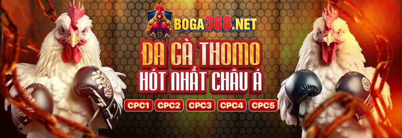 Hướng dẫn cá cược thể thao cho người mới bắt đầu tại bet888 win