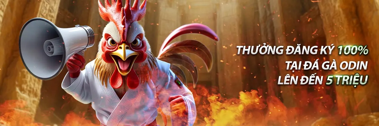 Đội ngũ bet888 win làm việc cùng nhau